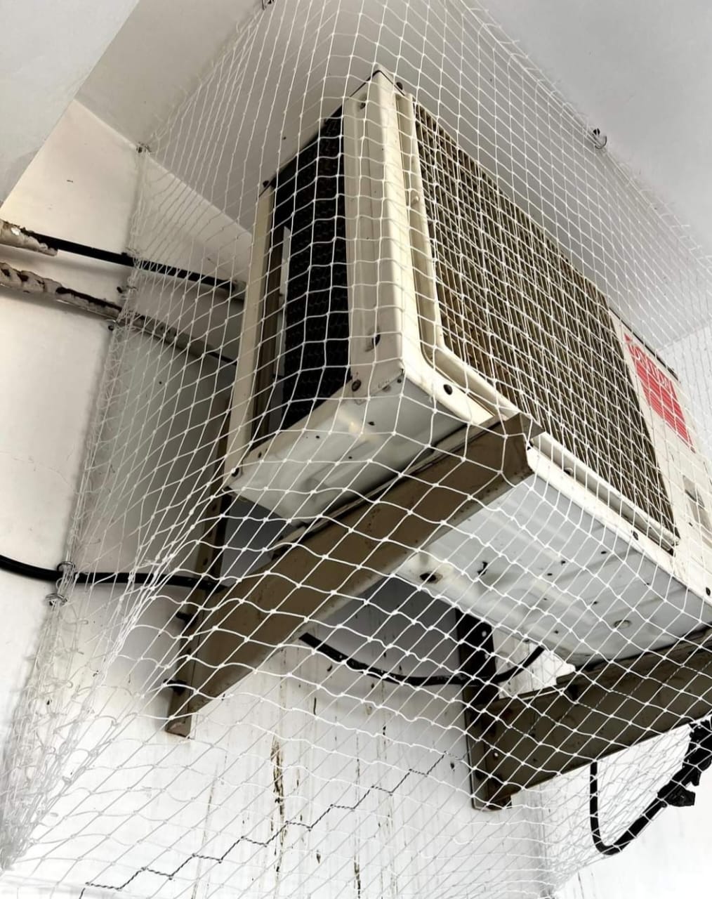 Pigeon Nets installation in Hyderabad