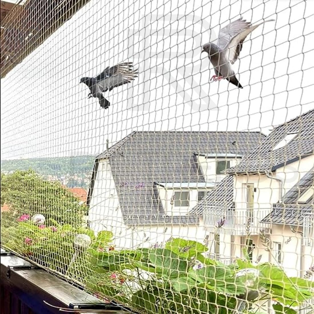 BGR Bird Net Services installation 2