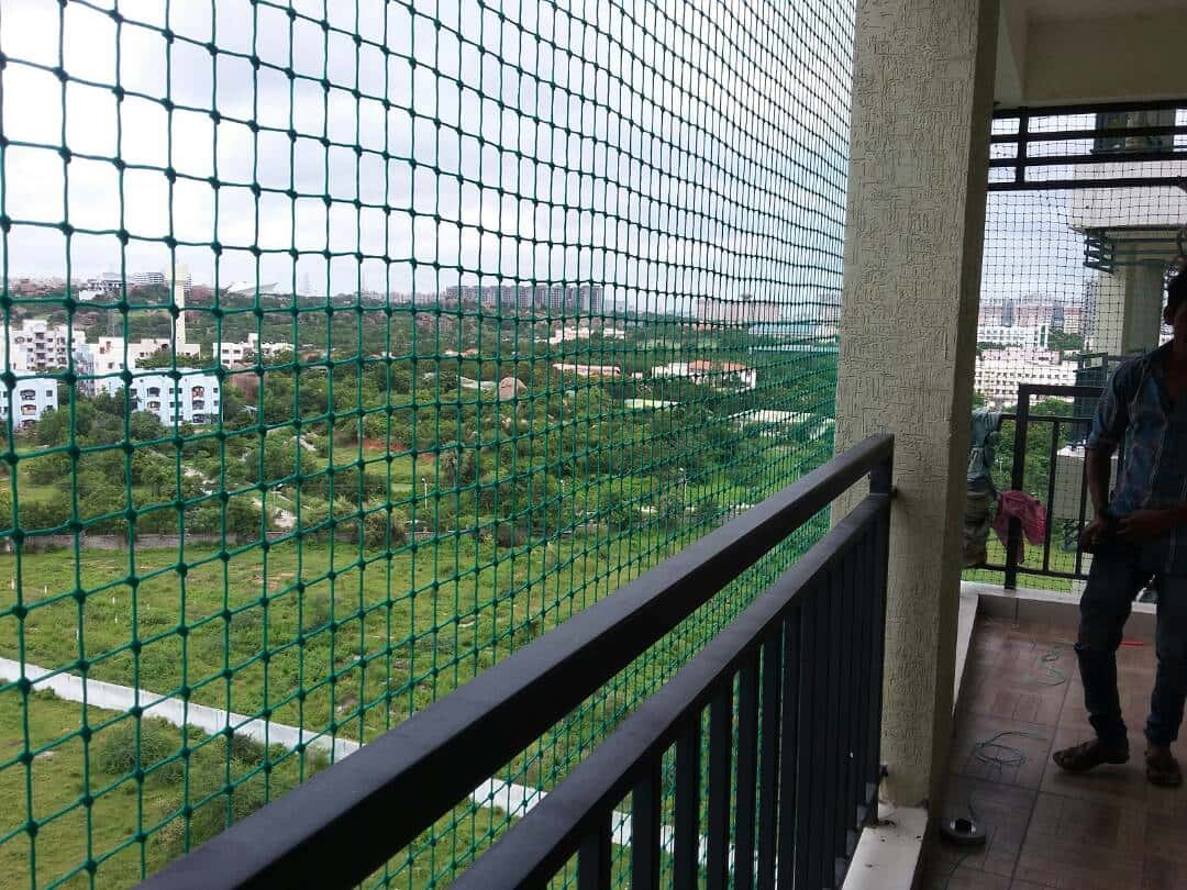 BGR Bird Net Services installation 10